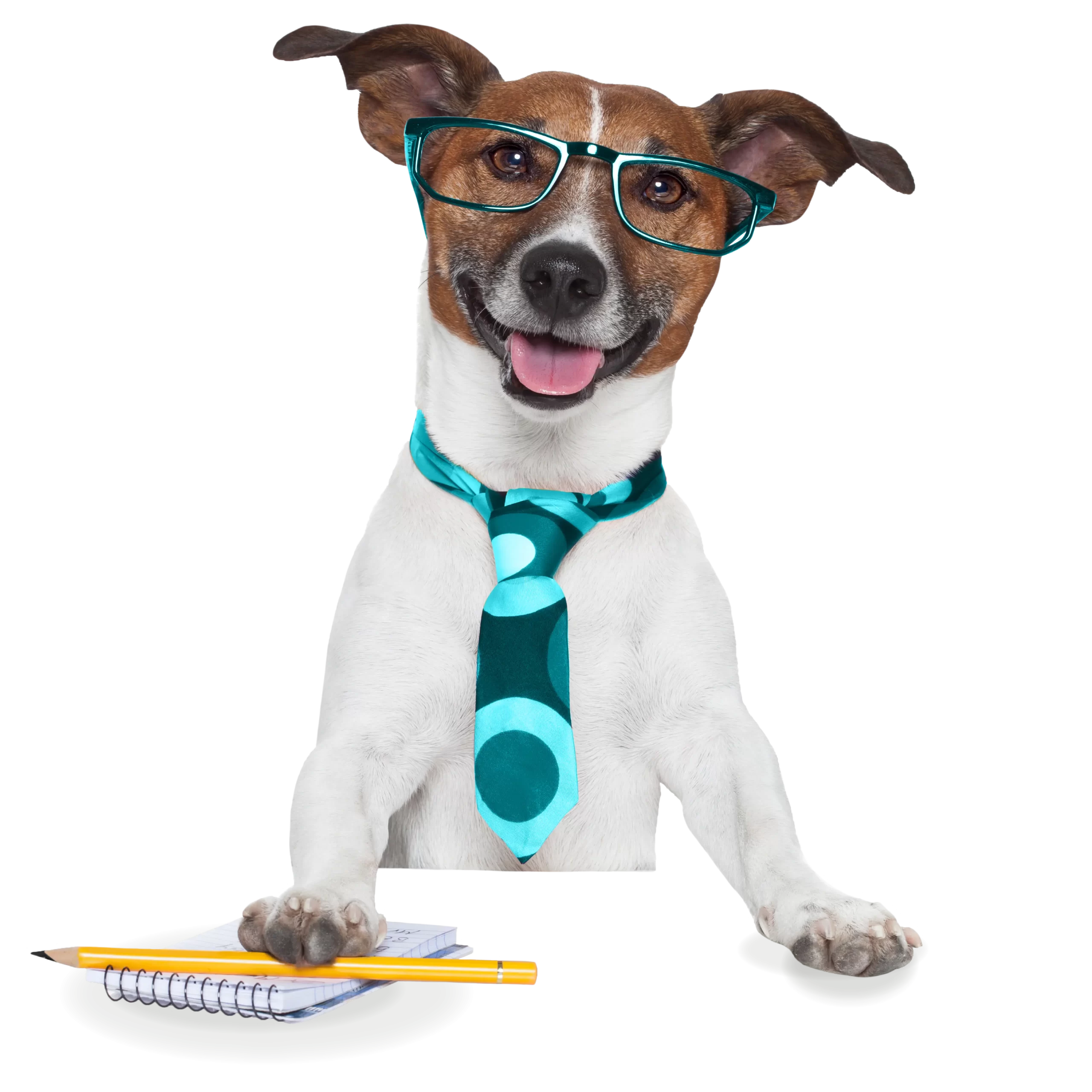 a brown and white dog wearing glasses and a tie with its paw on a notebook and pencil