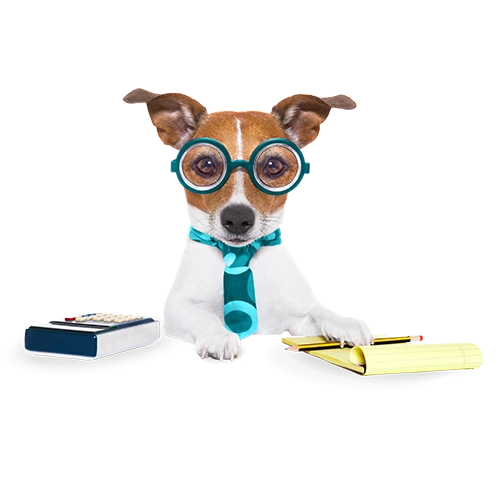 dog wearing glasses and a tie sits in front of a notebook and a calculator