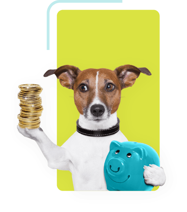 dog holding stack of gold coins and a teal piggy bank